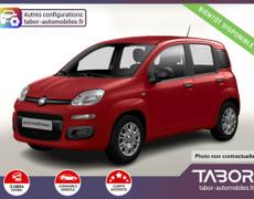 Fiat Panda Strasbourg