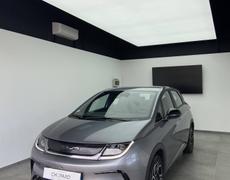 BYD Dolphin Écully