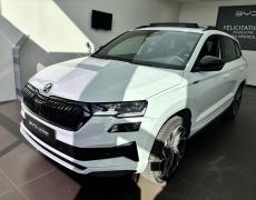 Skoda Karoq Sérézin-du-Rhône