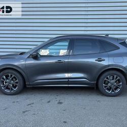 Ford Kuga 2.0 EcoBlue 150ch mHEV ST-Line Business Vannes