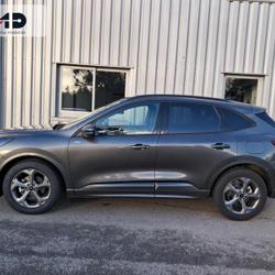 Ford Kuga 2.5 Duratec 180ch Hybrid FlexiFuel ST-Line Powershift Vannes