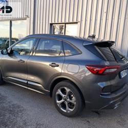 Ford Kuga 2.5 Duratec 180ch Hybrid FlexiFuel ST-Line Powershift Vannes