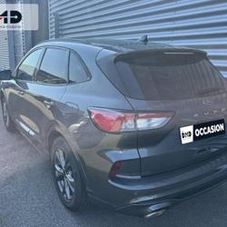 Ford Kuga 2.5 Duratec 190ch FHEV E85 ST-Line Business BVA Vannes