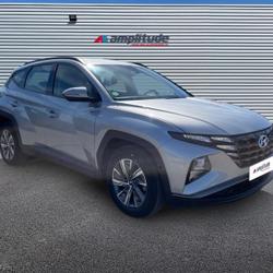Hyundai Tucson 1.6 CRDI 136ch Hybrid 48V Business DCT7 Chen&ocirc;ve