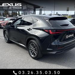 Lexus NX 350h Luxe 2WD MY25 occasion - Reims - photo 3/27