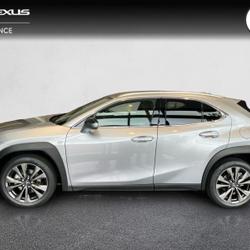 Lexus UX 300h F SPORT Design Pack Premium 2WD Lanester