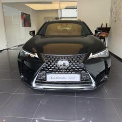 Lexus UX 300h Pack 2WD MC25 Cesson-S&eacute;vign&eacute;