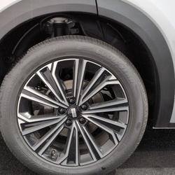 Geely Starray EM-i EM-i 99+217ch Max occasion - Vendeville - photo 3/10