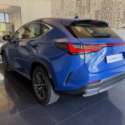 Lexus NX 350h Pack 2WD MY25 Cesson-S&eacute;vign&eacute;