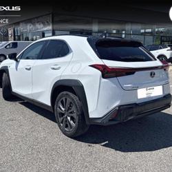 Lexus UX 300h F SPORT Design MY26 Avignon