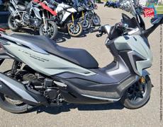 Honda Forza Sausheim