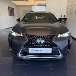 Lexus UX 250h Pack 2WD Cesson-S&eacute;vign&eacute;