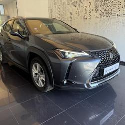 Lexus UX 250h Pack 2WD Cesson-S&eacute;vign&eacute;