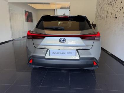 Lexus UX - 250h 2WD Premium Edition MY22 - 23 990 €