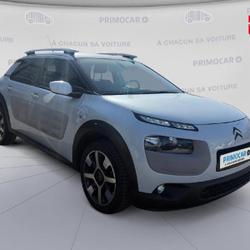 Citroen C4 Cactus BlueHDi 100 Rip Curl Dijon