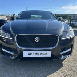 Jaguar XF 2.0D 180ch R-Sport BVA Cesson-S&eacute;vign&eacute;