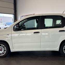 Fiat Panda 1.2 69 ch S/S occasion - Le Havre - photo 2/16