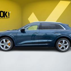 Audi e-tron 50 quattro advanced Sausheim