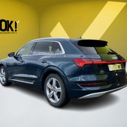 Audi e-tron 50 quattro advanced Sausheim