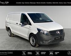 Mercedes Vito Argonay