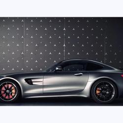 Mercedes AMG GT R Coup&eacute; occasion - Bischheim - photo 2/28