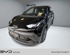 BYD Dolphin Strasbourg