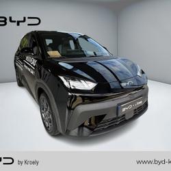 BYD Dolphin Surf Comfort 115 kW Strasbourg