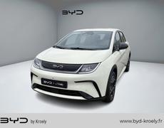 BYD Dolphin Strasbourg