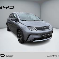 BYD Dolphin DESIGN 150 kW Strasbourg