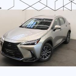 Lexus NX 350H Pack Business 2WD MY25 occasion - Royan - photo 3/32