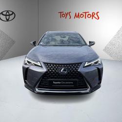 Lexus UX 250H 2WD Pack Confort Business Cognac