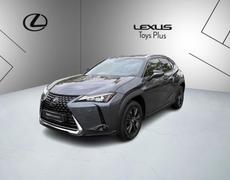 Lexus UX Cognac
