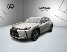 Lexus UX Cognac