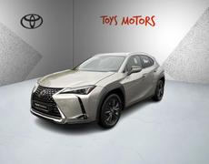 Lexus UX Cognac