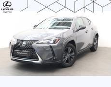Lexus UX Aytré