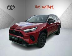 Toyota RAV4 Tours