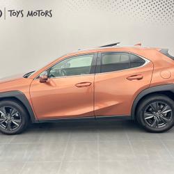 Lexus UX 300h 2WD Luxe TO + Pack Techno Sequedin
