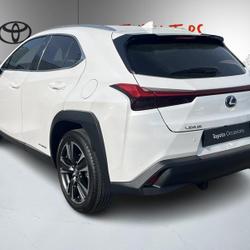 Lexus UX 250H 2WD Premium Edition H&oelig;nheim