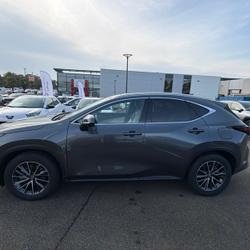 Lexus NX 350h Luxe pack design occasion - H&oelig;nheim - photo 2/20