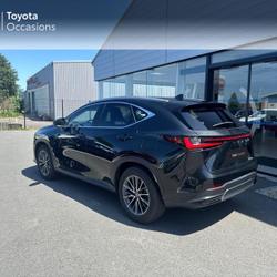 Lexus NX 350h Luxe 2WD MY25 Saint-Malo