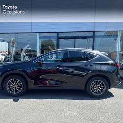 Lexus NX 350h Luxe 2WD MY25 Saint-Malo
