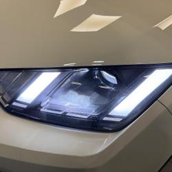 BYD Dolphin 88ch - 43,2 kWh Boost Le Havre