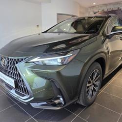 Lexus NX 350h 200ch Luxe 2WD MY26 Aubi&egrave;re