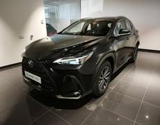 Lexus NX Lattes