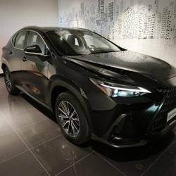 Lexus NX 350h Pack Business 2WD MY25 Lattes