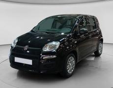 Fiat Panda Estancarbon