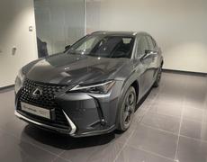 Lexus UX Lattes