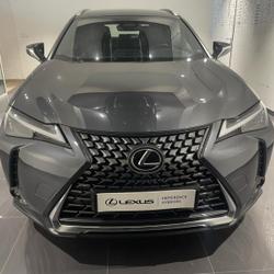 Lexus UX 300h Pack MY26 Lattes