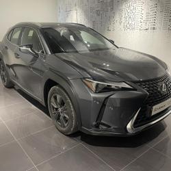 Lexus UX 300h Pack MY26 Lattes