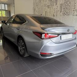 Lexus ES 300h Business MY25 Cesson-S&eacute;vign&eacute;